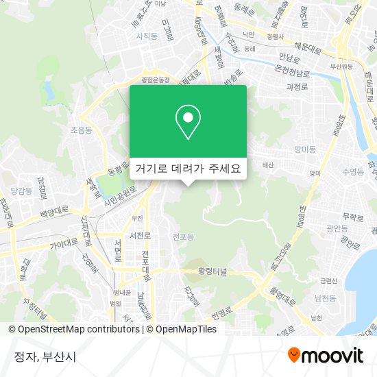 정자 지도