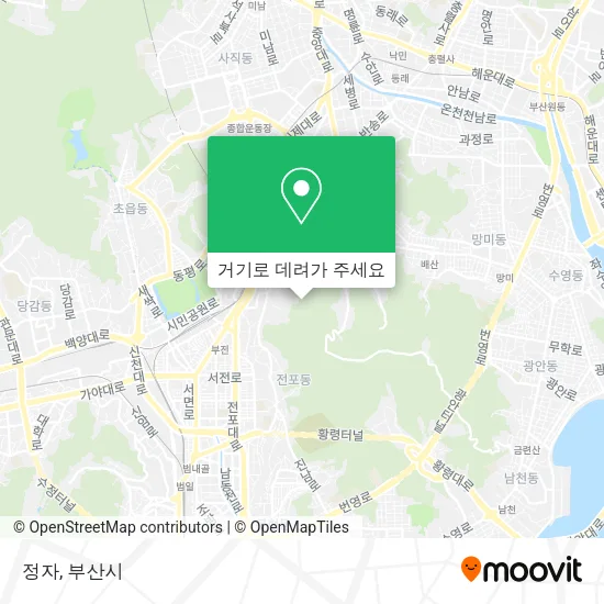 정자 지도