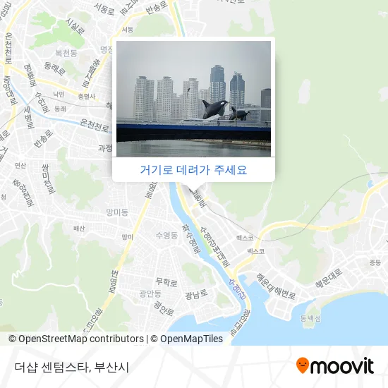 더샵 센텀스타 지도