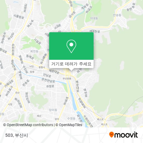 503 지도