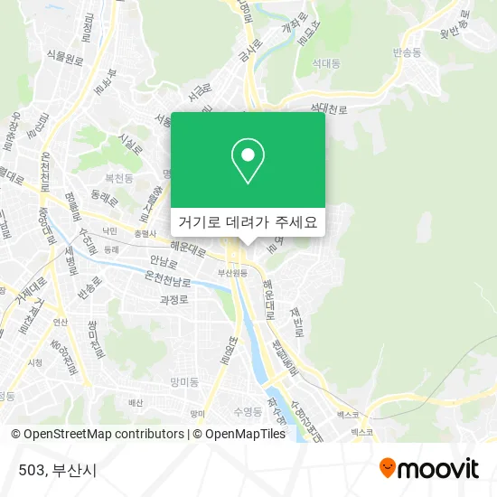 503 지도