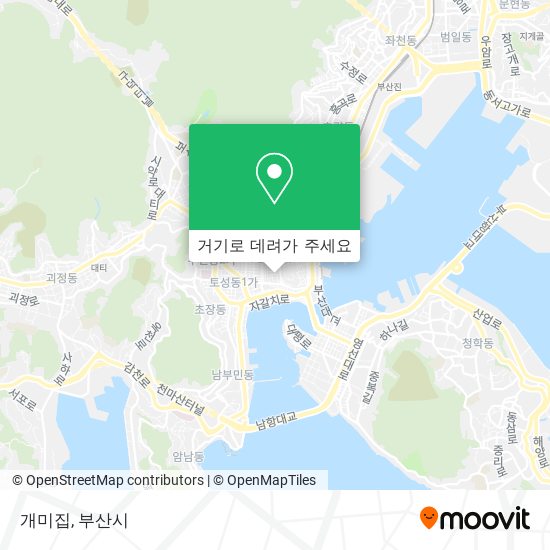 개미집 지도