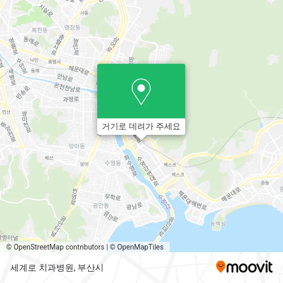 세계로 치과병원 지도