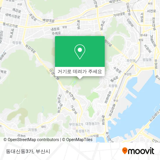 동대신동3가 지도