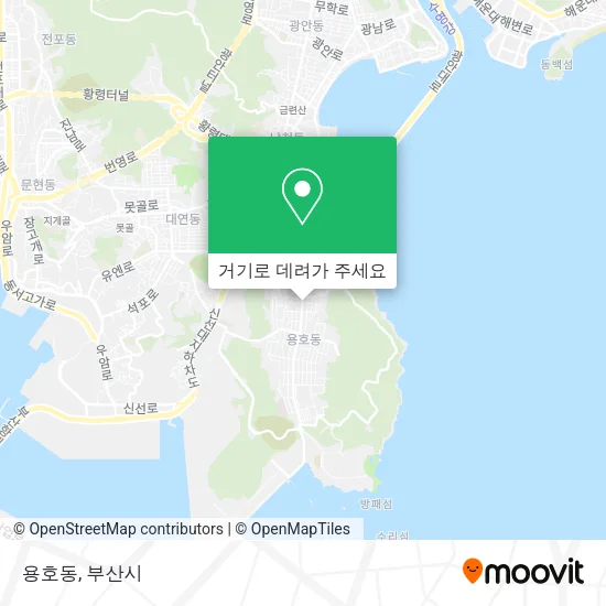 용호동 지도