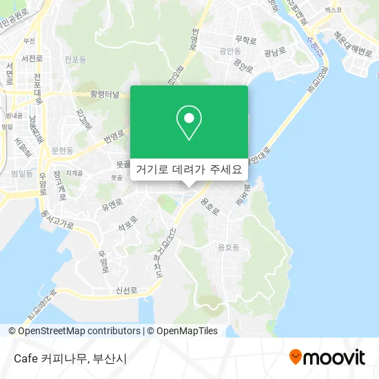 Cafe 커피나무 지도
