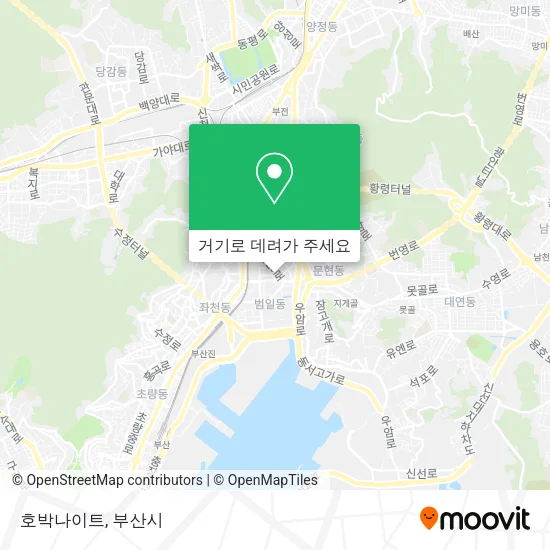 호박나이트 지도