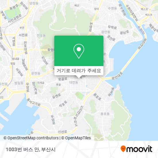 1003번 버스 안 지도