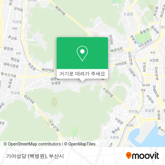 가야성당 (백병원) 지도