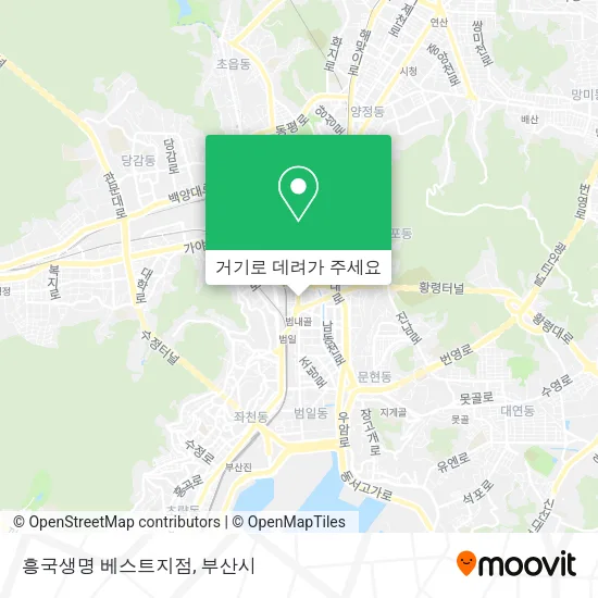 흥국생명 베스트지점 지도