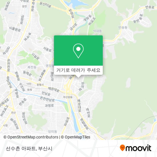 선수촌 아파트 지도
