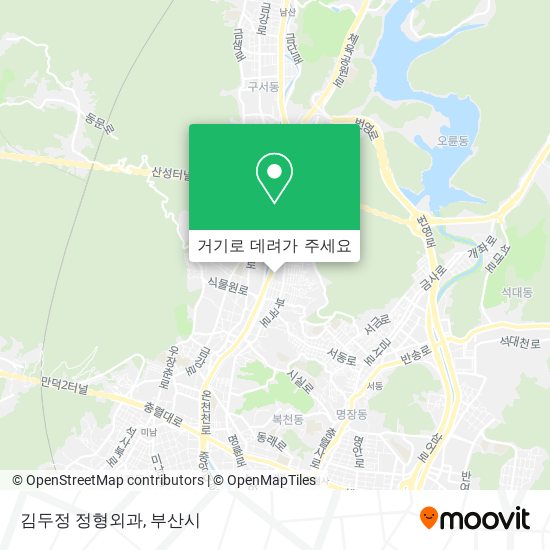 김두정 정형외과 지도