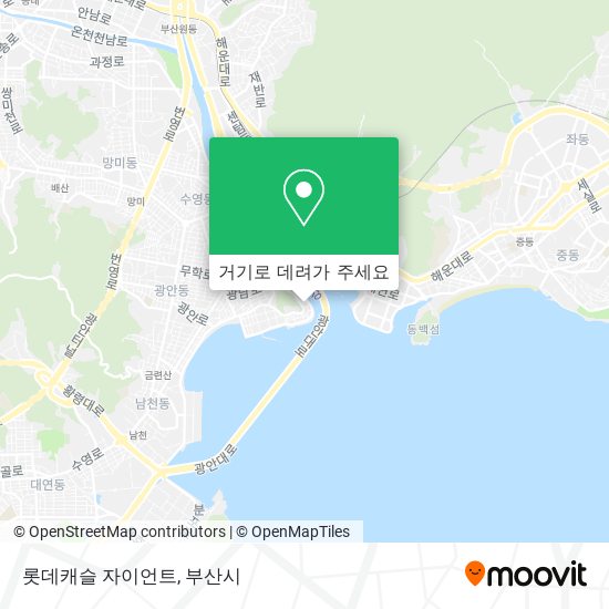 롯데캐슬 자이언트 지도