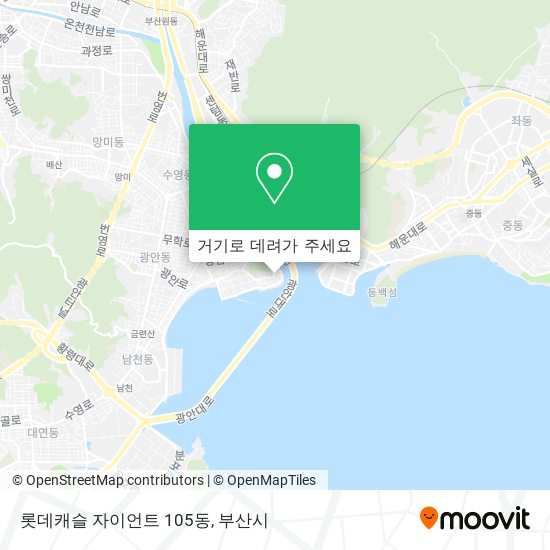 롯데캐슬 자이언트 105동 지도