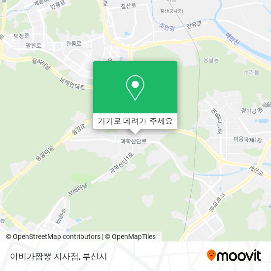 이비가짬뽕 지사점 지도
