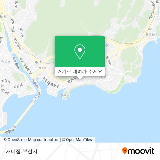 개미집 지도