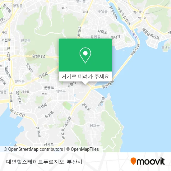 대연힐스테이트푸르지오 지도