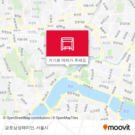 금호삼성래미안 지도