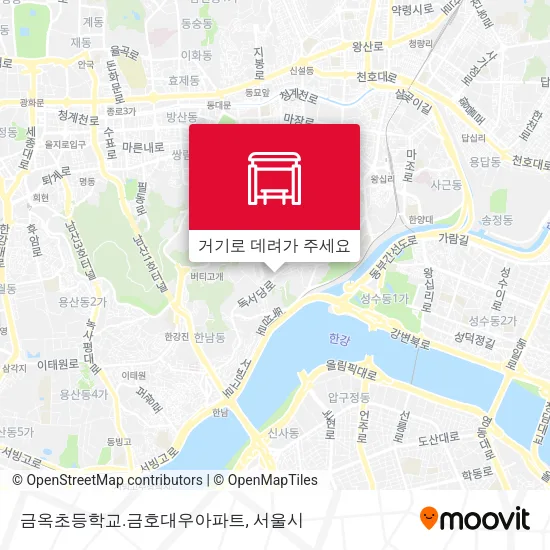 금옥초등학교.금호대우아파트 지도