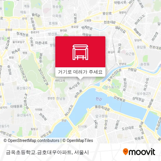 금옥초등학교.금호대우아파트 지도
