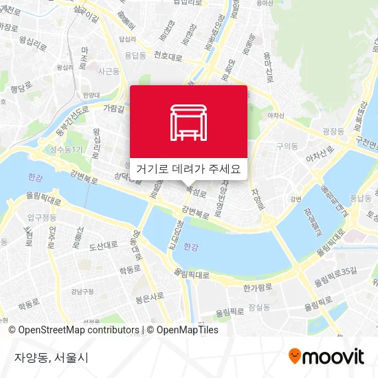 자양동 지도