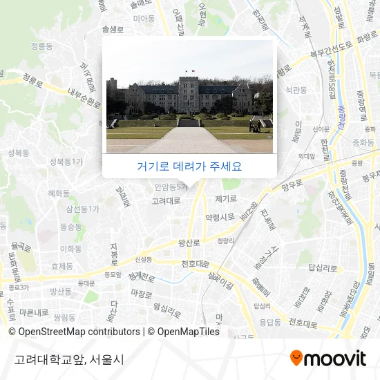 고려대학교앞 지도
