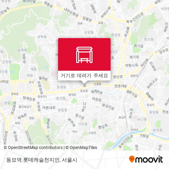 동묘역.롯데캐슬천지인 지도