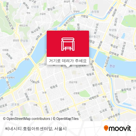 씨네시티.호림아트센터앞 지도