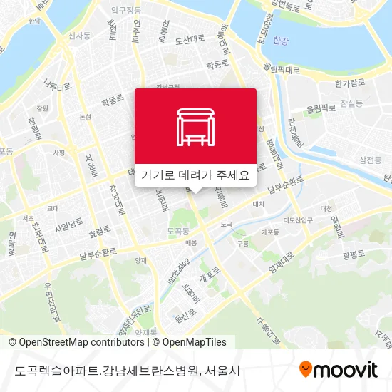 도곡렉슬아파트.강남세브란스병원 지도