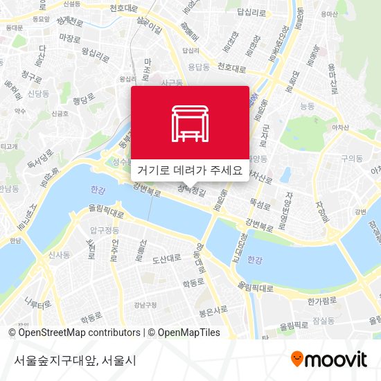 서울숲지구대앞 지도