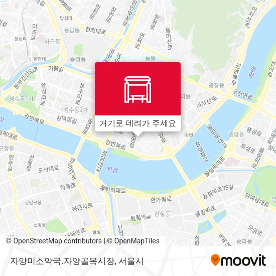 자양미소약국.자양골목시장 지도