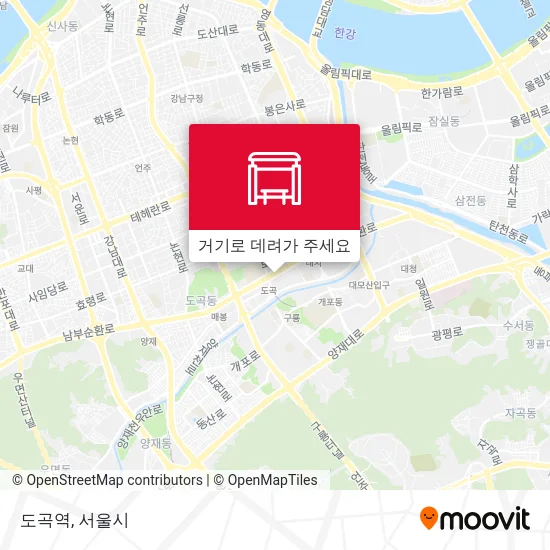 도곡역 지도