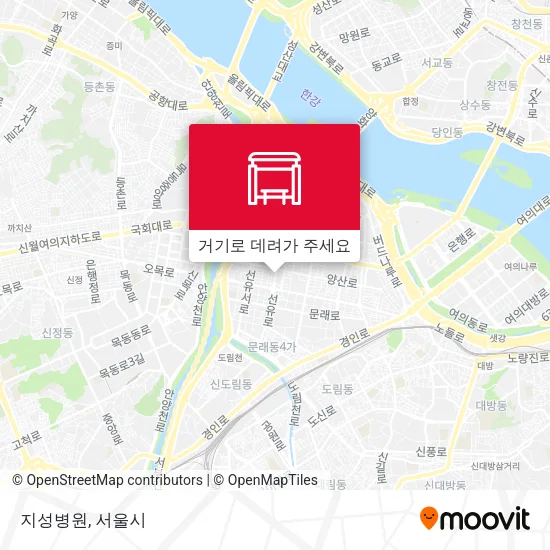 지성병원 지도