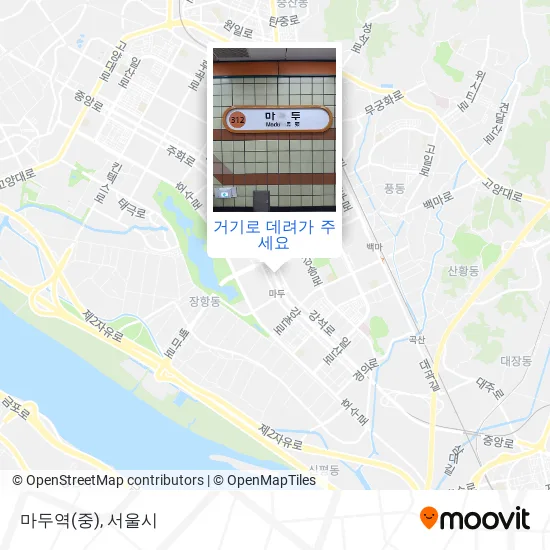 마두역(중) 지도