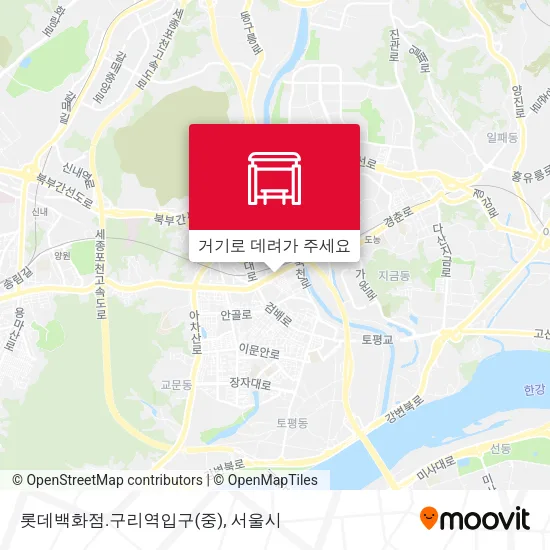 롯데백화점.구리역입구(중) 지도