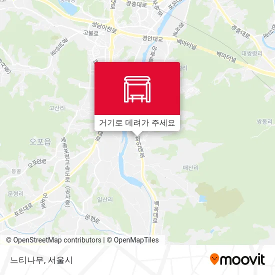 느티나무 지도