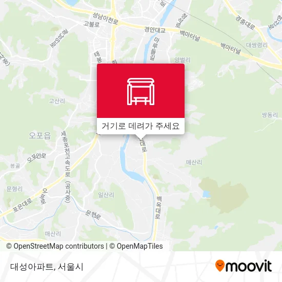 대성아파트 지도
