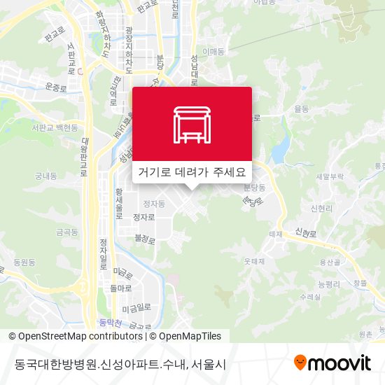 동국대한방병원.신성아파트.수내 지도