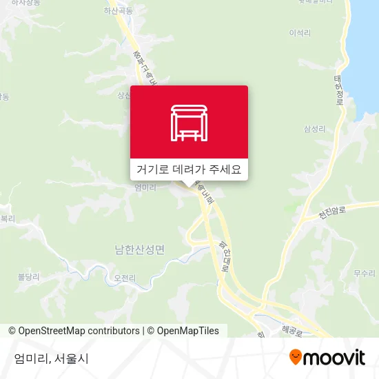 엄미리 지도