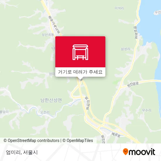 엄미리 지도