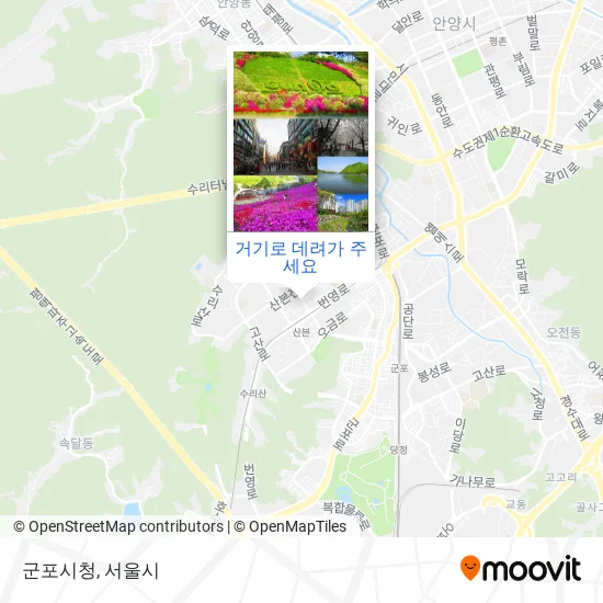 군포시청 지도