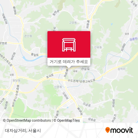 대자삼거리 지도