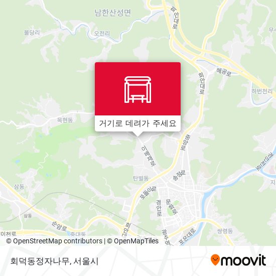 회덕동정자나무 지도