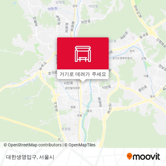 대한생명입구 지도