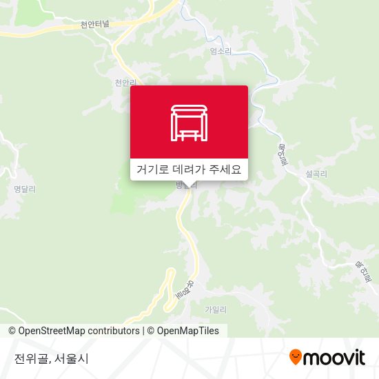 전위골 지도