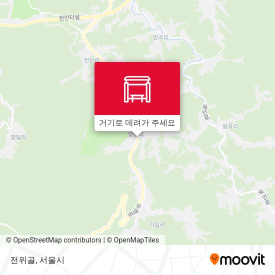 전위골 지도