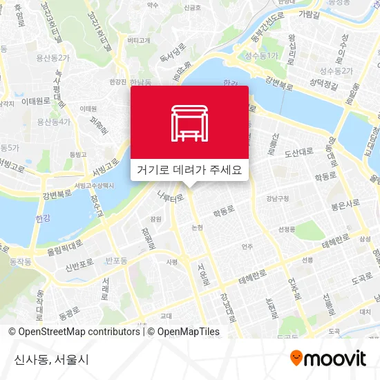 신사동 지도