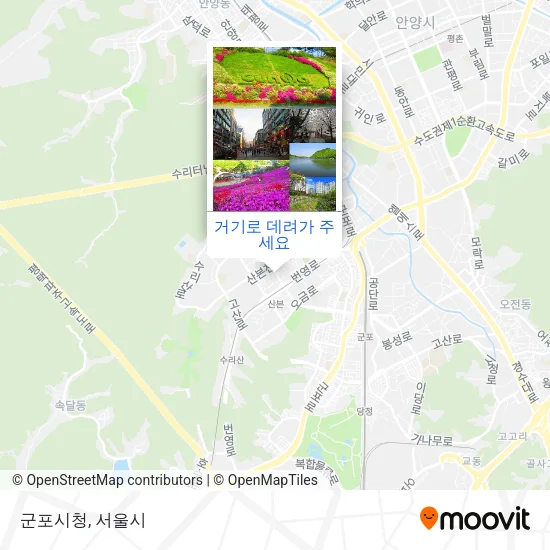 군포시청 지도