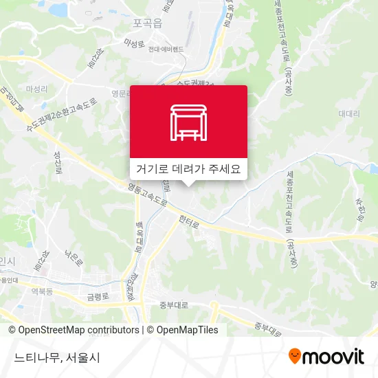 느티나무 지도