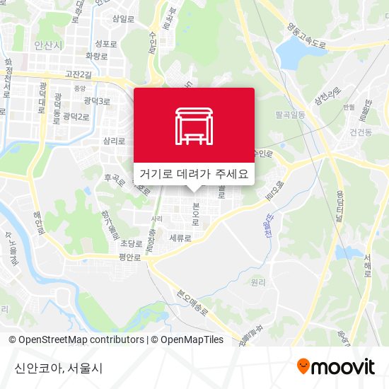 신안코아 지도